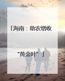 海南：助农增收 “黄金叶”